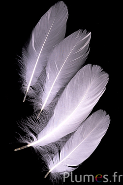 Gans - 13-20 cm - weiss